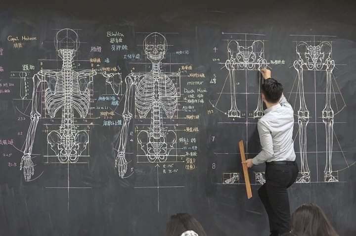 Anatomy in an artistic way By Chuan Bin Chung