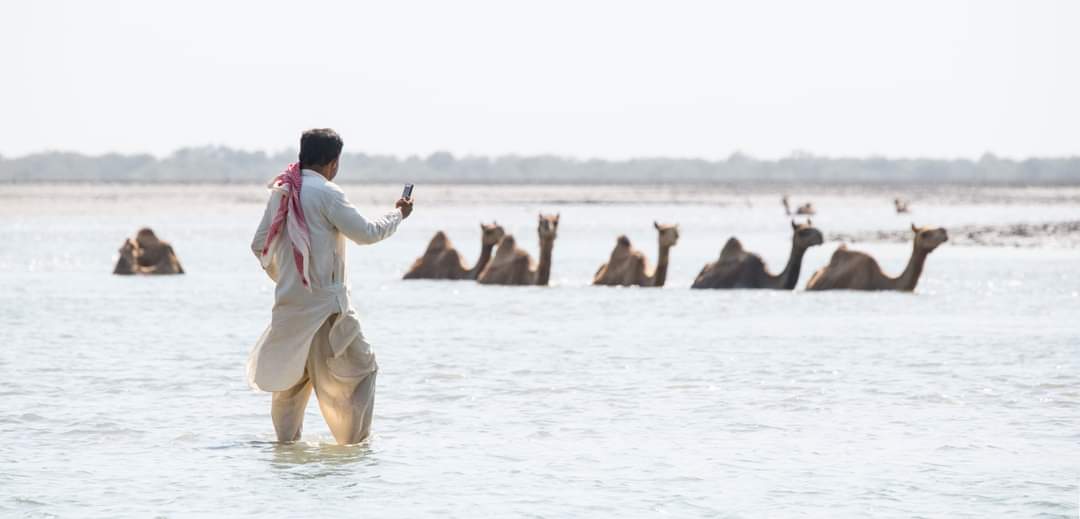 Jangi Creek Island, Gulf Of Kutch, Kutch District, Gujarat, India