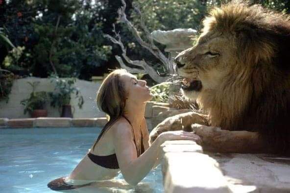 This family lived with a Lion in the 70's!  (10 Pics)