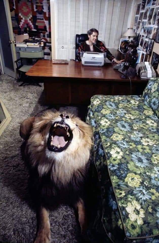 This family lived with a Lion in the 70's!  (10 Pics)