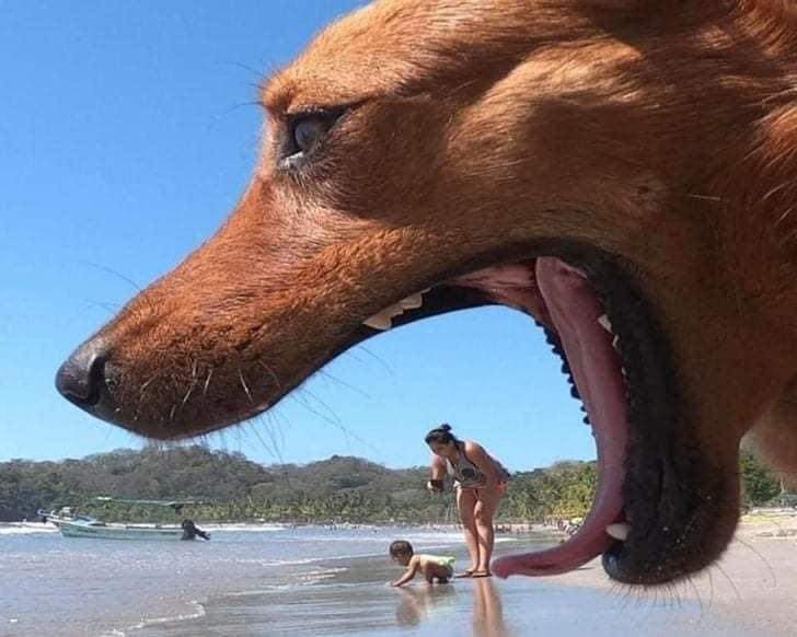 15 Shots That Are So Perfectly Timed, They Deserve an Award