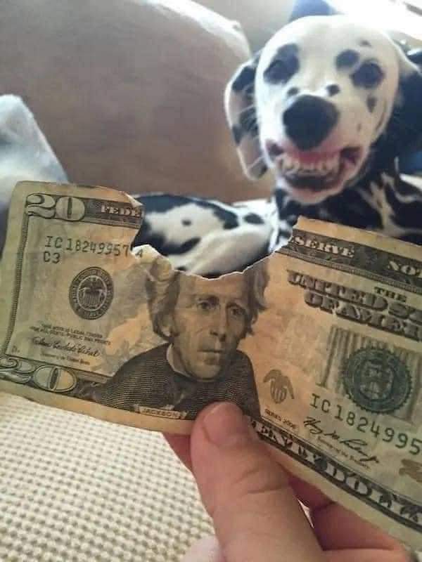 17 Pictures that will brighten your day