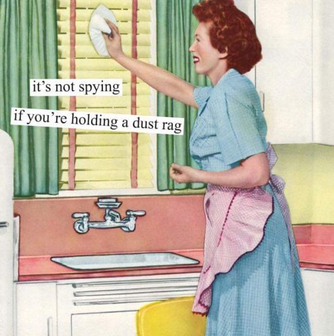 Sarcastic Retro Picture Parodies By Anne Taintor