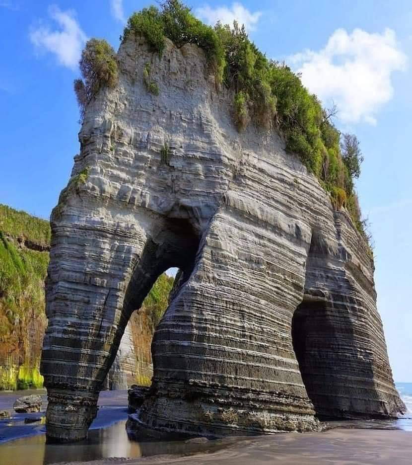 Elephant Rock, New Zealand