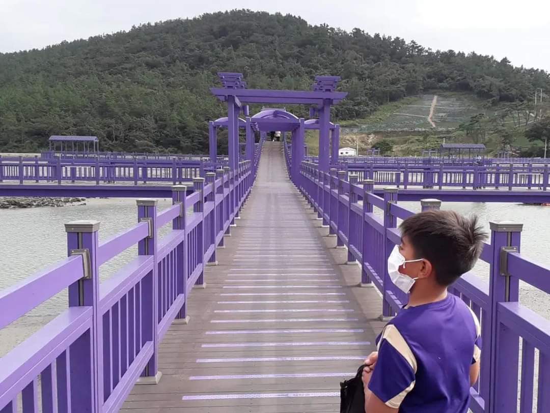 South Korea has an all purple island (10 Pics)