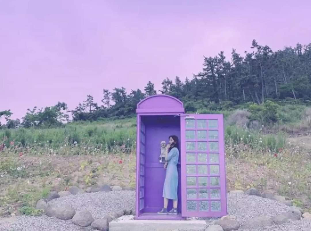 South Korea has an all purple island (10 Pics)