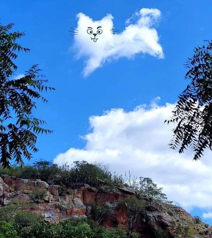 Amazing Cloud Art (15 Pics)