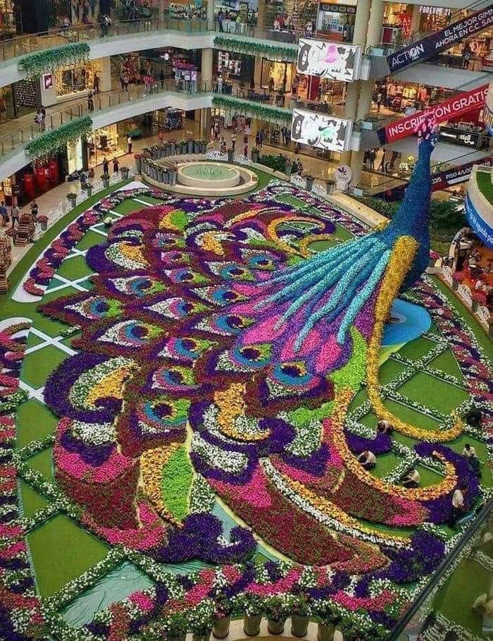 Photo Of The Day  - Massive floral arrangement inside a mall in Medellín, Colombia