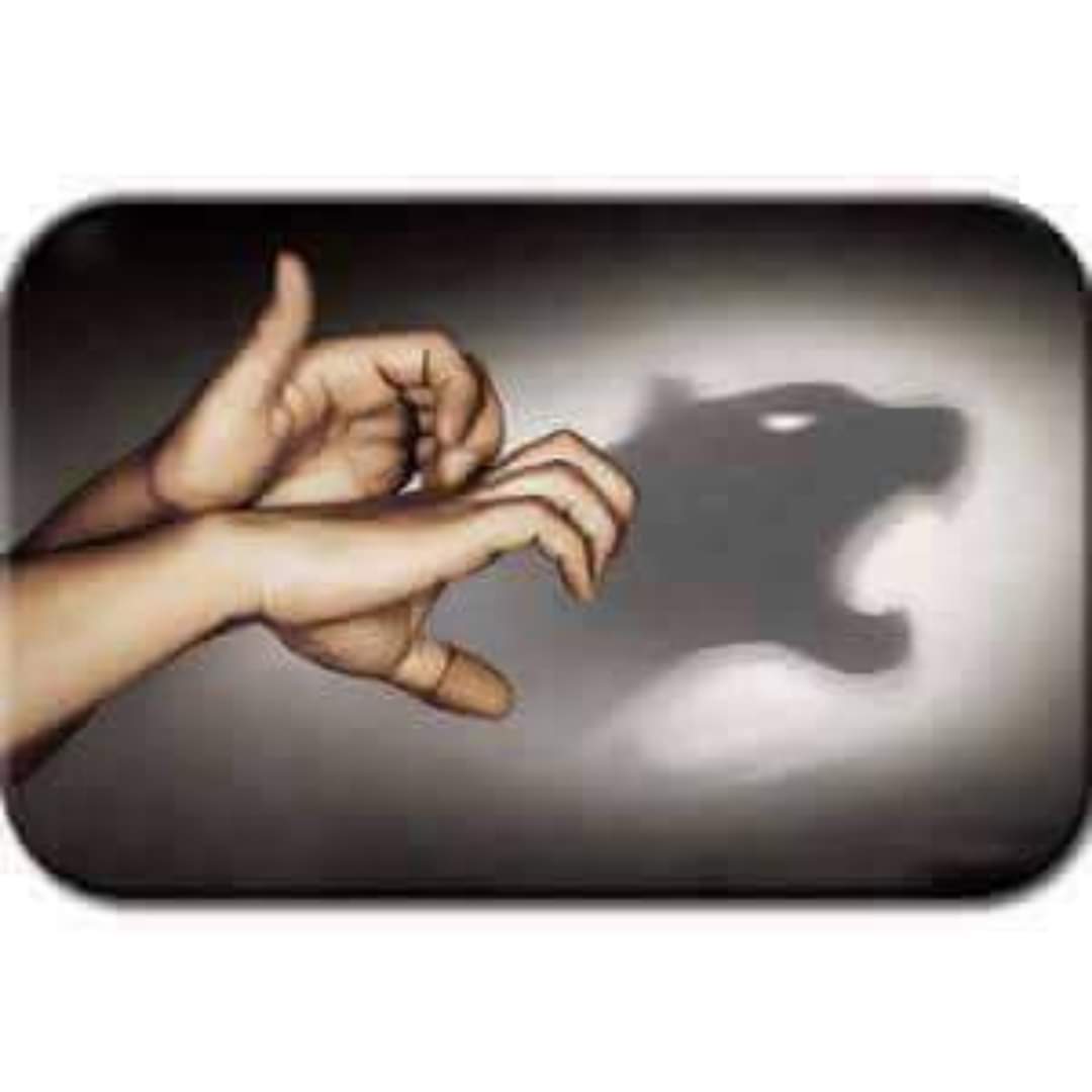 Hand Shadow Art  (30 Pics)