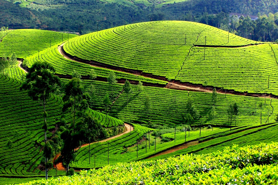 Most Beautiful Munnar in the Western Ghats Mountain Range of Kerala
