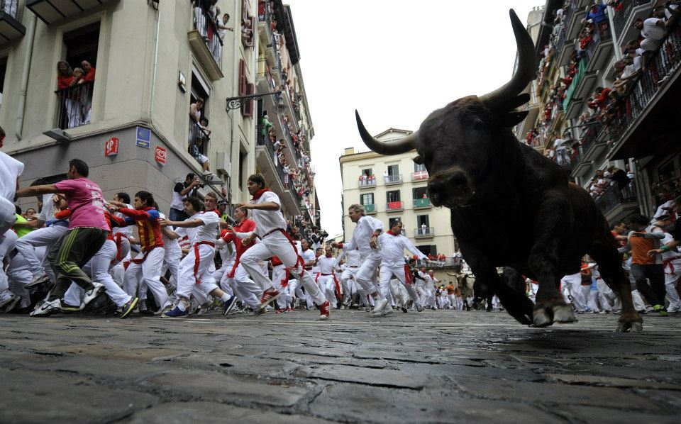 Running of the Bulls - (10 Pics)