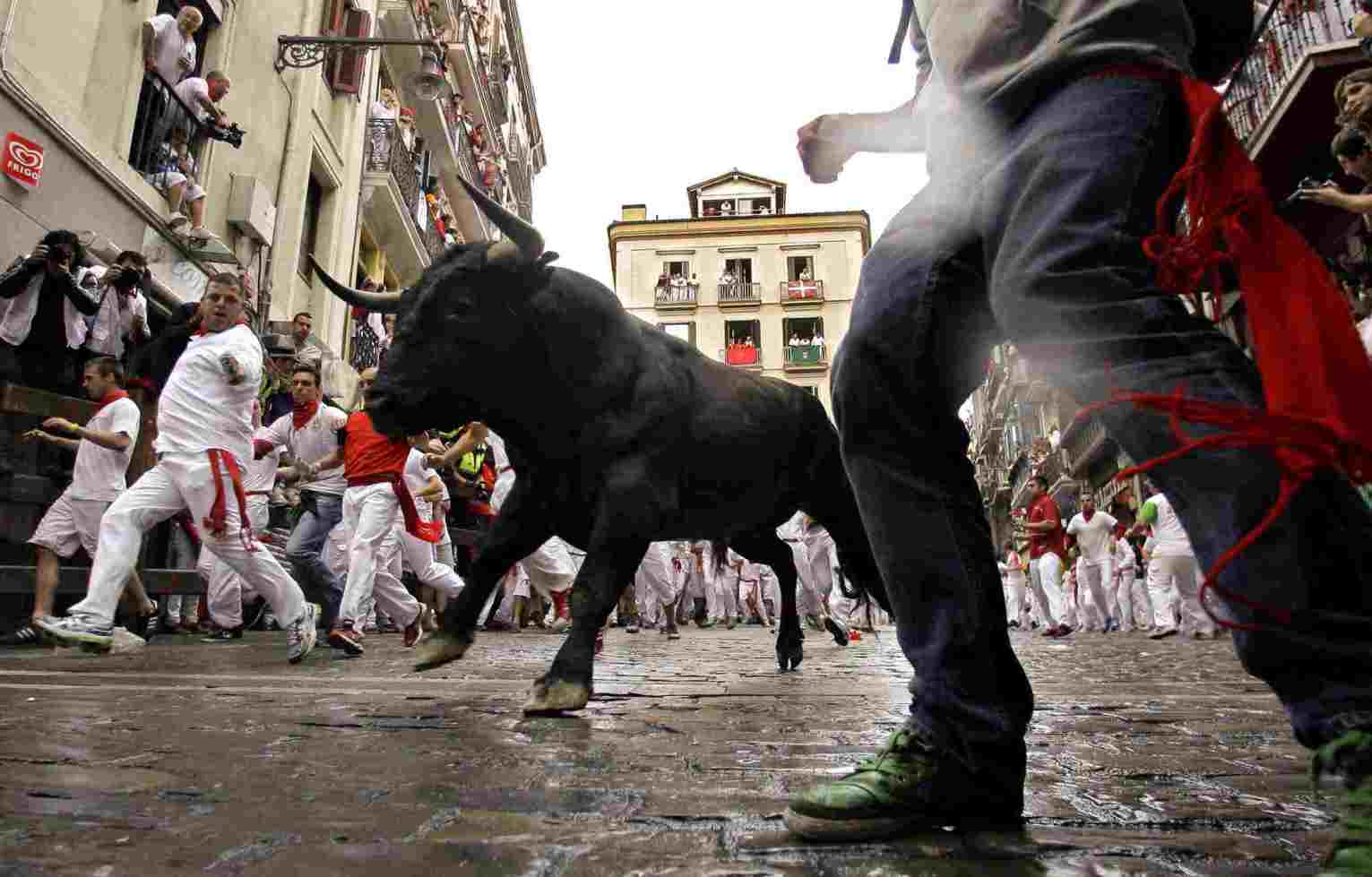 Running of the Bulls - (10 Pics)