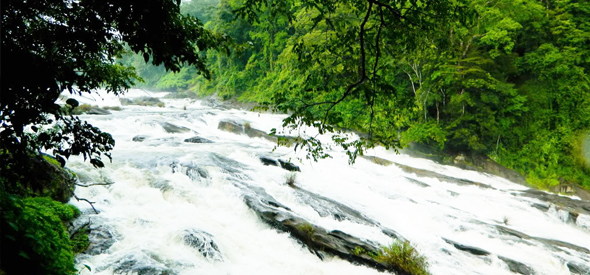 Top 5 Waterfalls Of Kerala | Weekend Getaways