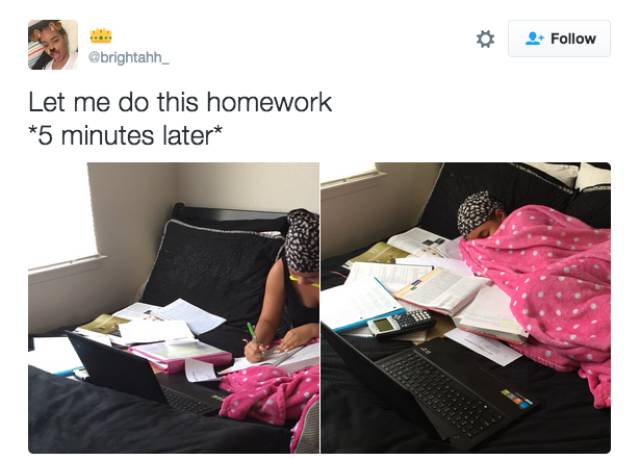 Any Student Will Relate To These Jokes (17 pics)