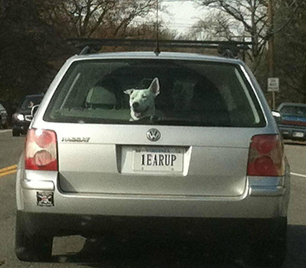 28 Awesome Car license plates