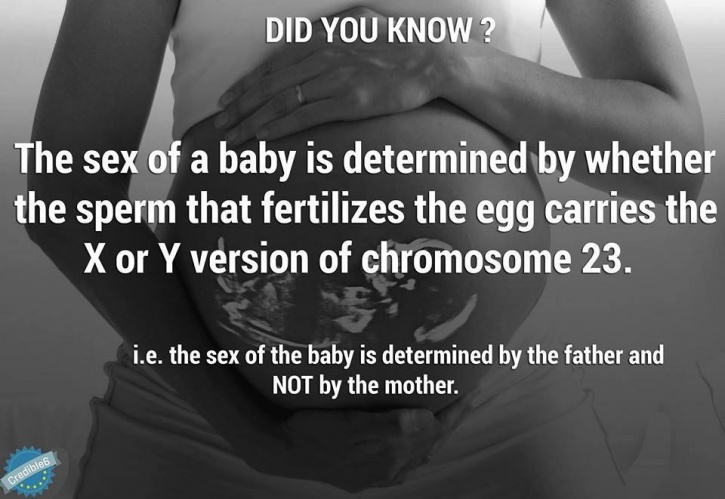 12 Facts About Babies In The Womb You Will Be Surprised To Know