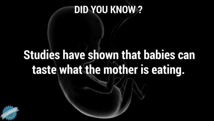 12 Facts About Babies In The Womb You Will Be Surprised To Know