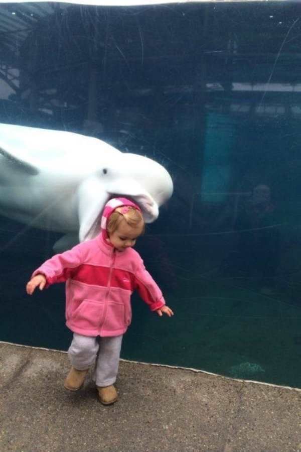 99+ Perfectly Timed Photos!
