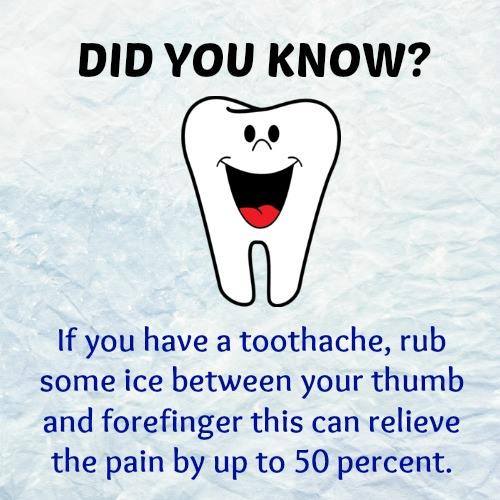 Did You Know ? (12 Pics)