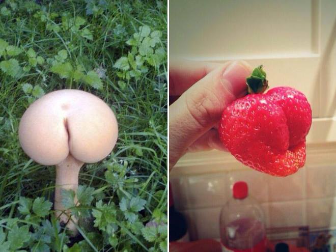 Dirty Mind - Things That Totally Look Like (20 Pics)