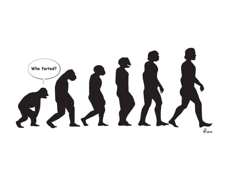 Evolution From A Very Different Perspective… (30 pics)