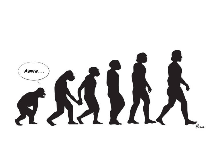 Evolution From A Very Different Perspective… (30 pics)