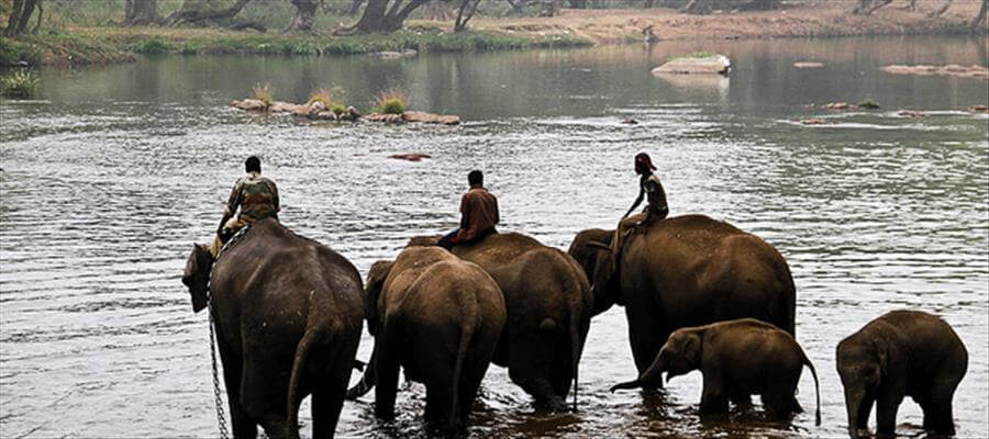 Top 5 Beautiful Lakes and BackWater Destinations in Karnataka | Weekend Getaways