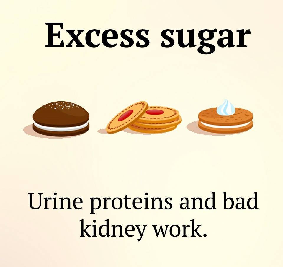 Protect Your Kidney By Avoiding These Habits! (7 Pics)