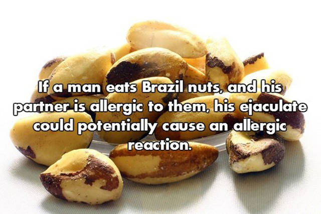 NSFW Facts That Will Blow You Away (18 pics)