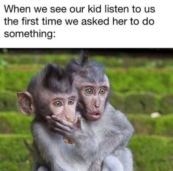 Parenting Memes Are Funnier Than Kids (34 pics)