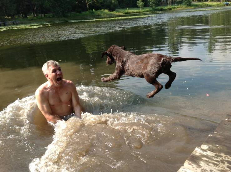 Perfectly Timed Photos (69 Pics)