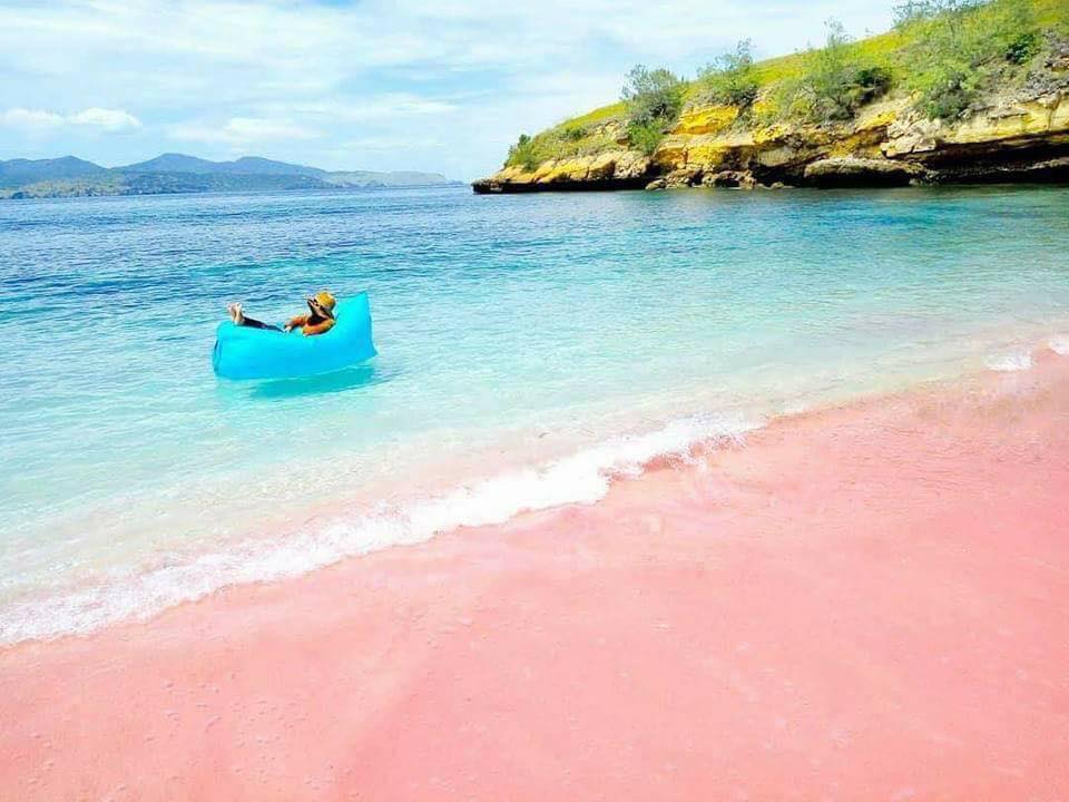 Stunning Pink Beach in Komodo, Indonesia (15 Pics)