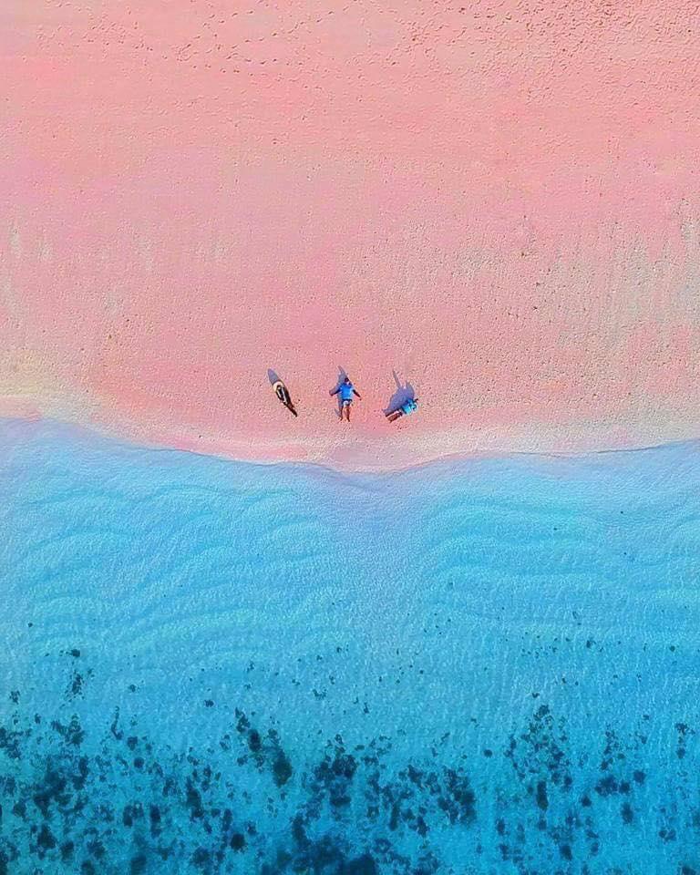 Stunning Pink Beach in Komodo, Indonesia (15 Pics)
