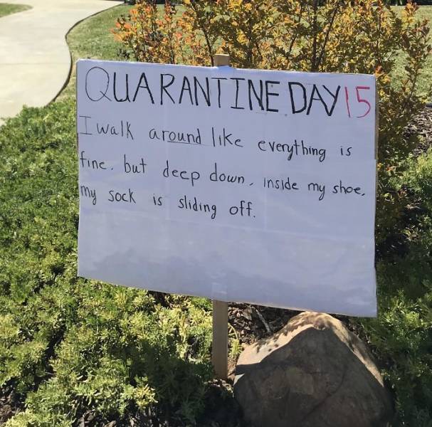 Quarantine Funny Signs (40 Pics)