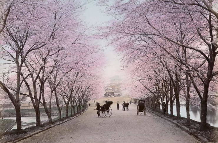 Rare Photos Of Japan 130 Years Ago (24 pics)