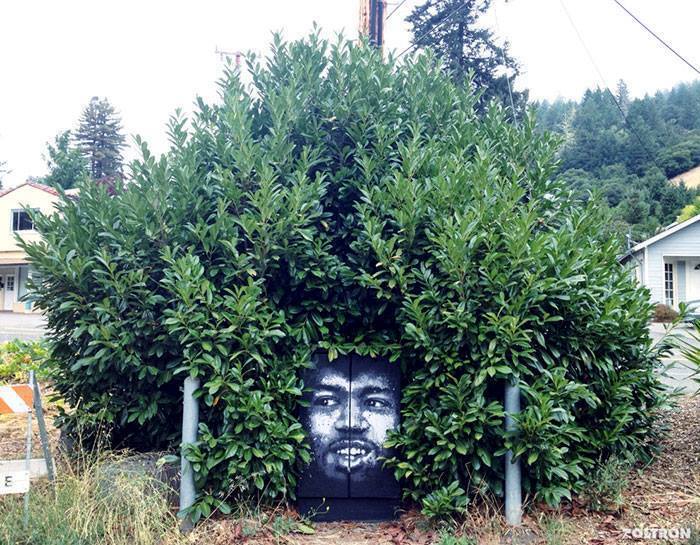 Best Of 18 Most Amazing Street Art Collection With Real Botanical Hair