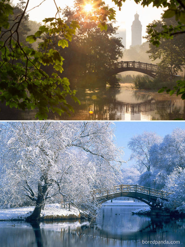 When Winter Works Its Magic (15 pics)