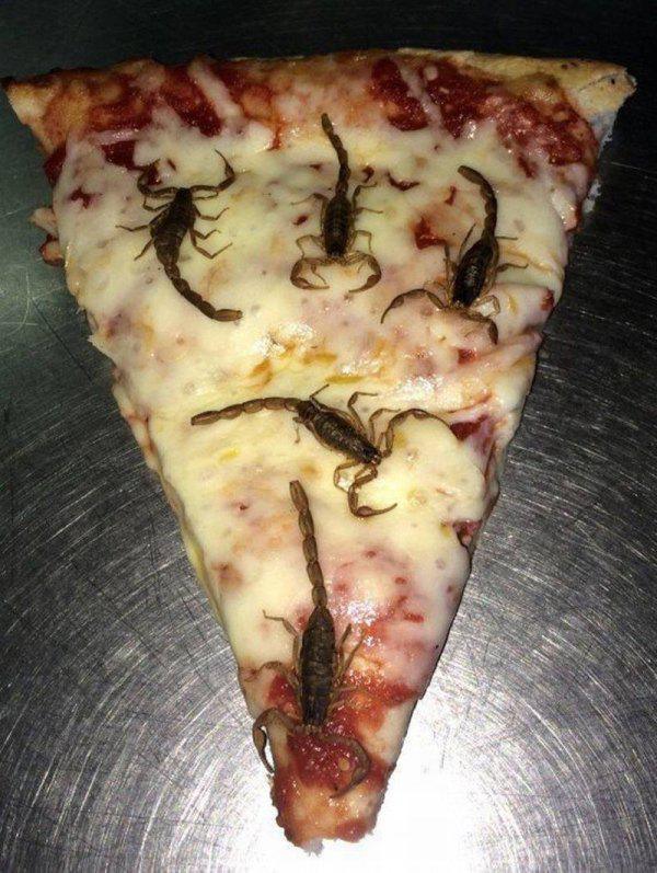 You are now entering the Nope Zone (15 Photos)