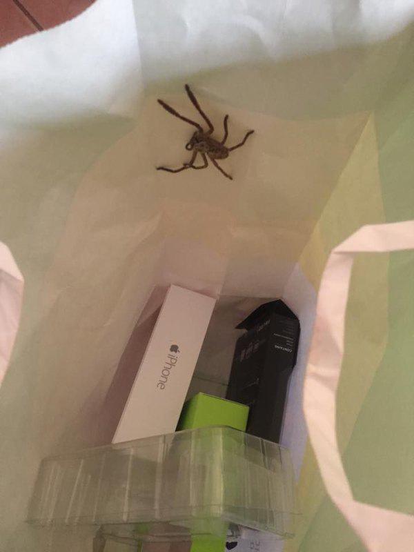You are now entering the Nope Zone (15 Photos)